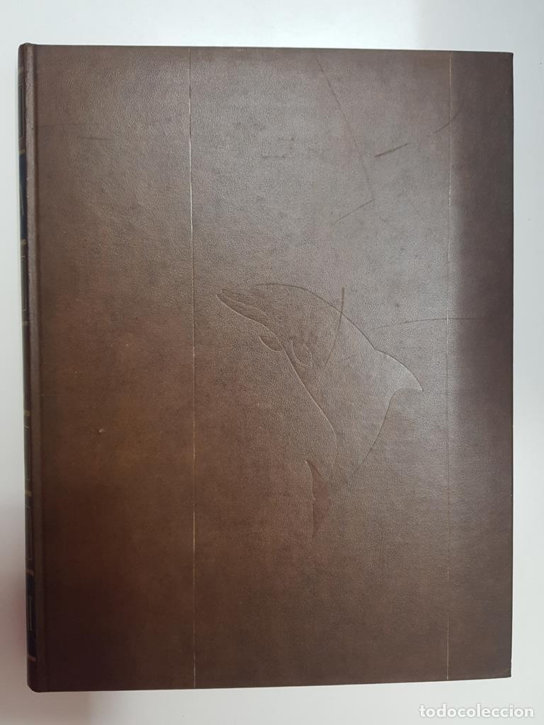 Libros: Enciclopedia Salvat: Fauna tomo 10 - Mares y Oceanos - Felix Rodriguez de la Fuente