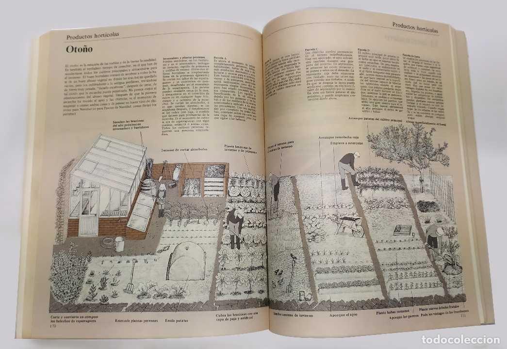 Libros: La Vida en el Campo - John Seymour - Foto 2