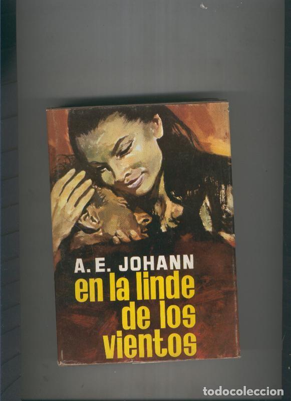 books: Coleccion Infinito: En la linde de los vientos - A.E. Johann