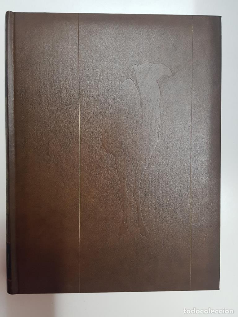 Libros: Enciclopedia Salvat: Fauna tomo 4 - Eurasia y Norteamerica (Region Holartica) - Felix Rodriguez de l