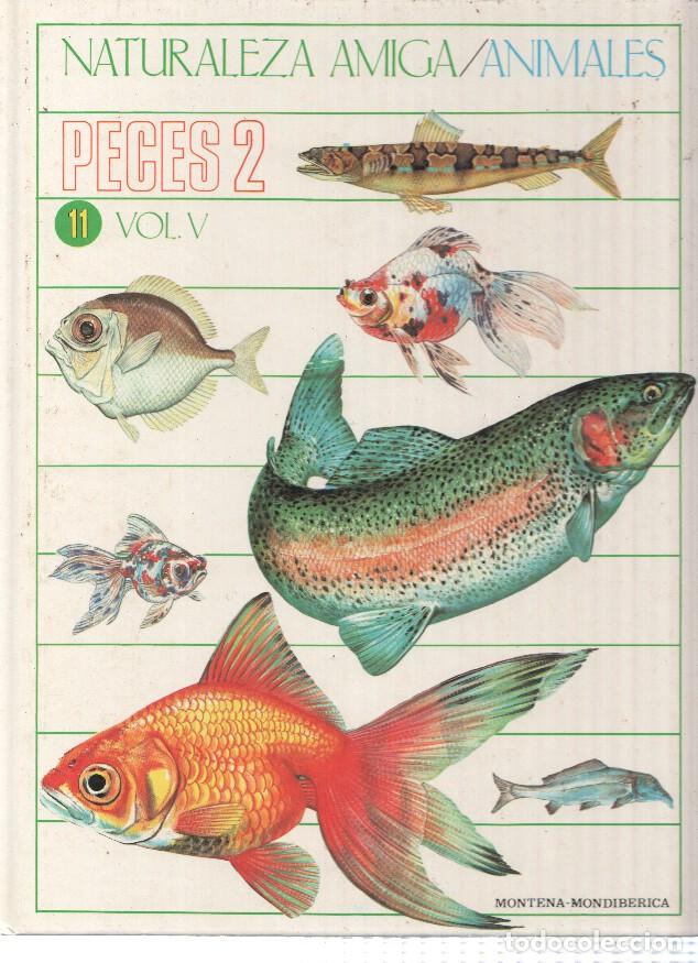 Libri di seconda mano: Naturaleza Amiga/Animales album 11 volumen V: Peces 2 - Isabel Portela Pe&ntilde;as y Lourdes Cabello Perez