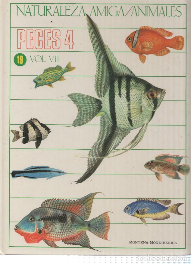 Libri di seconda mano: Naturaleza Amiga/Animales album 19 vol VII: Peces 4 - Isabel Portela Pe&ntilde;as y Lourdes Cabello Perez