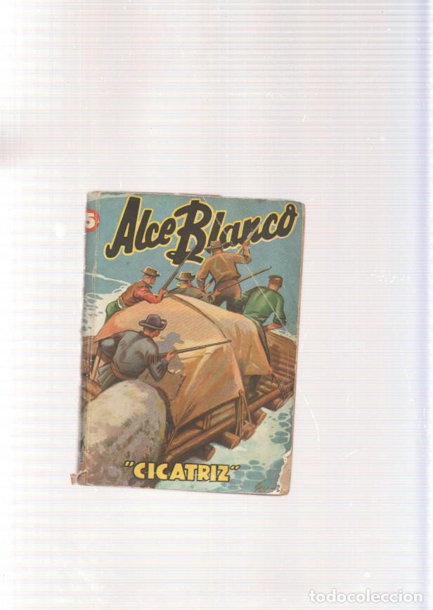 Libros: Cicatriz - Alce Blanco - Foto 1