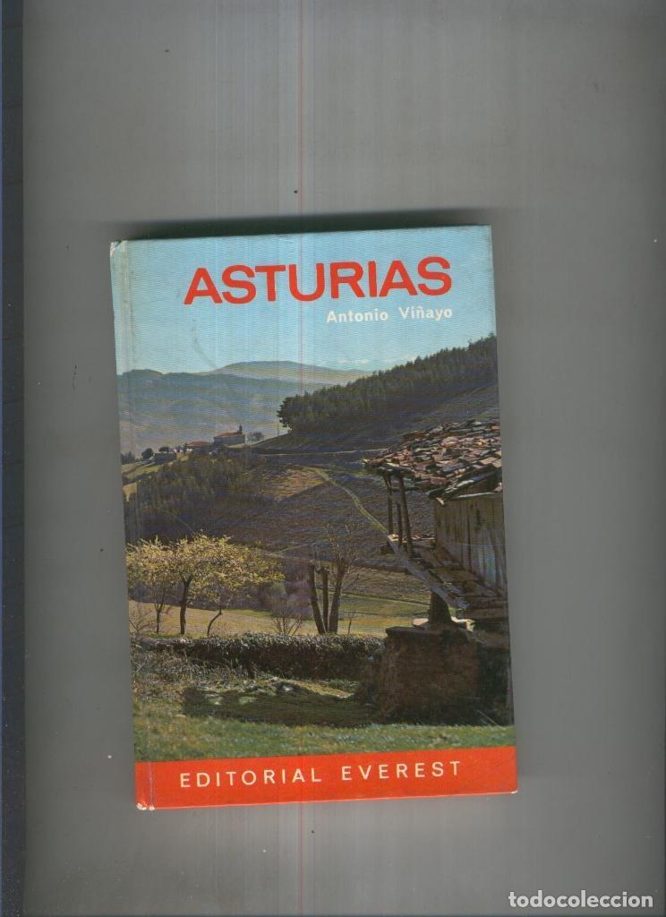 Livres: Asturias - Antonio Vi&ntilde;ayo