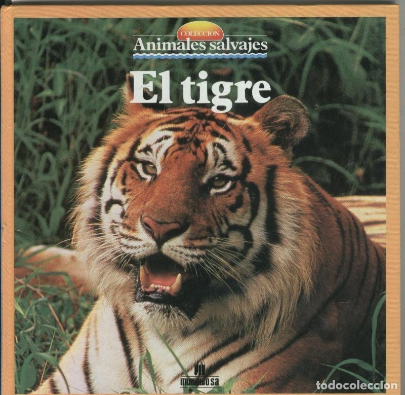 Libros: Animales salvajes: El tigre - Varios - Foto 1