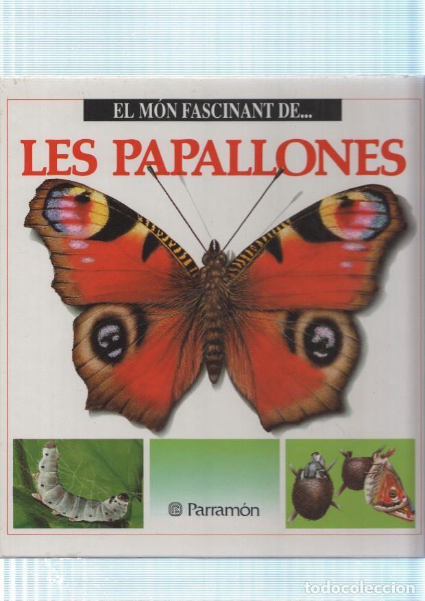 B&uuml;cher: El mon fascinant de Les papallones - Maria Angels Julivert