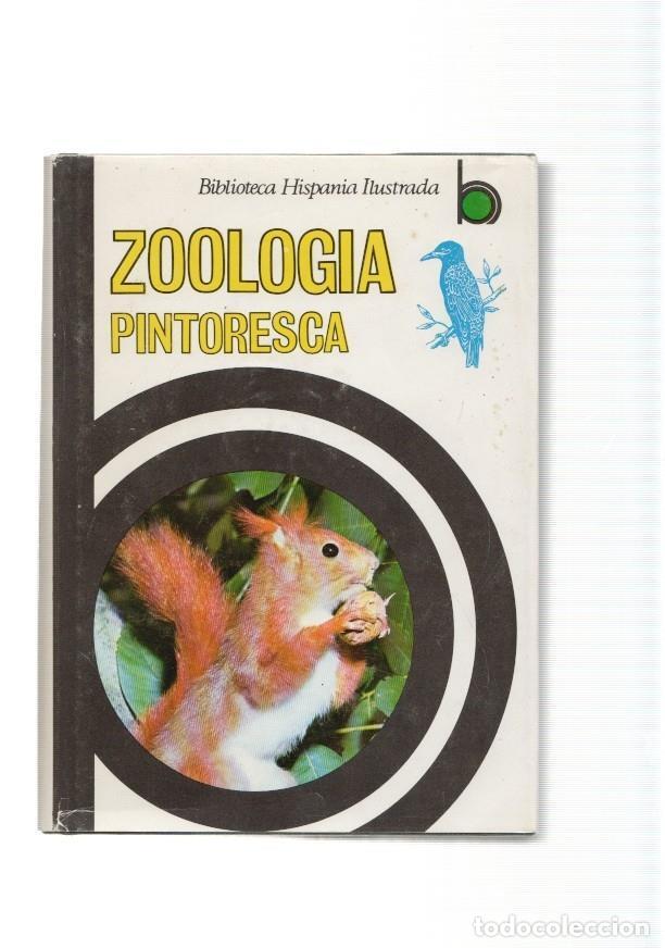 Libros: Zoologia pintoresca - varios - Foto 1