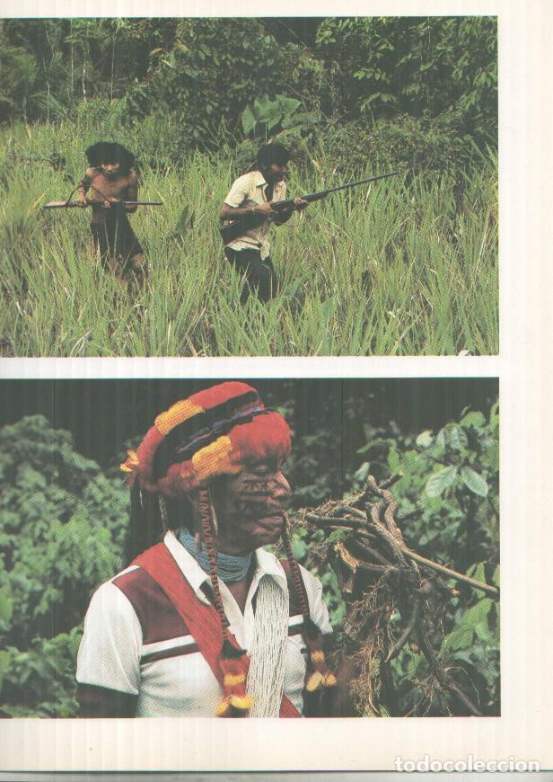 Libros: El viaje de Cousteau por el amazonas, fasciculo paginas 177 a 192 - Jacques Yves Cousteau y Mose Ric