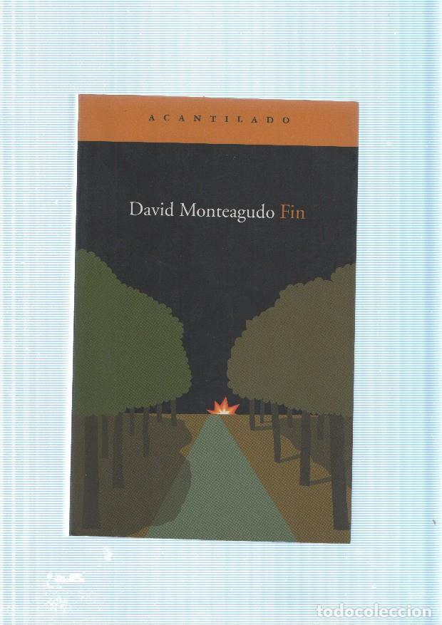 Libros: Fin - David Monteagudo - Foto 1