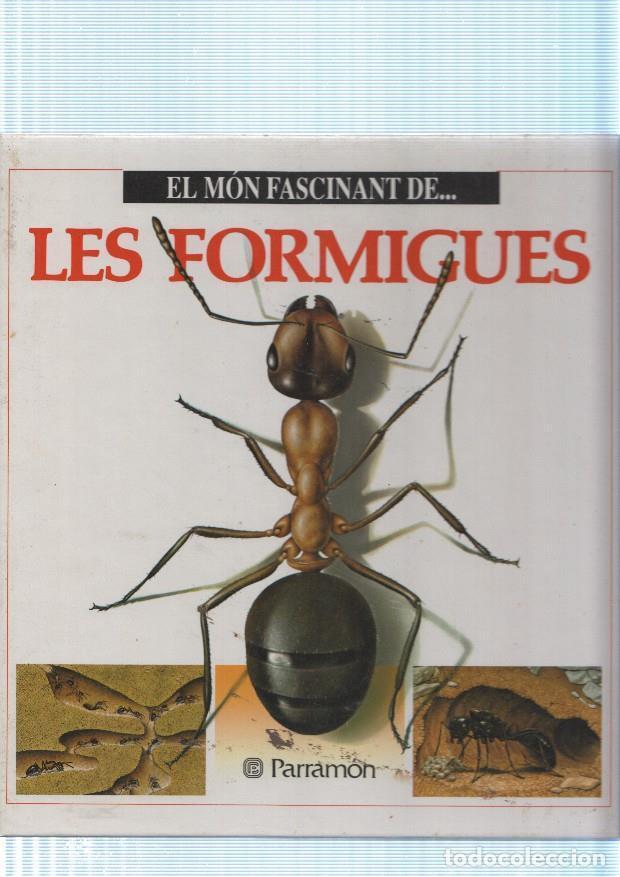 Libros: El mon fascinant de : Les formigues - Maria Angels Julivert