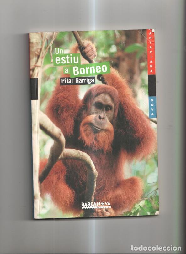 Libros: Un estiu a Borneo - Pilar Garriga