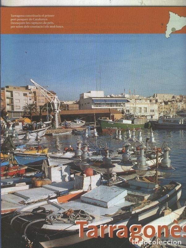 Livros em segunda m&atilde;o: Catalunya desde l,aire: Tarragones-Terra Alta - Varios