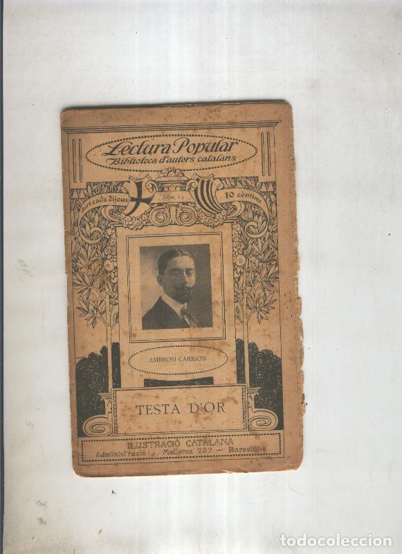 Libros: Testa D, Or - Ambrosi Carrion - Foto 1