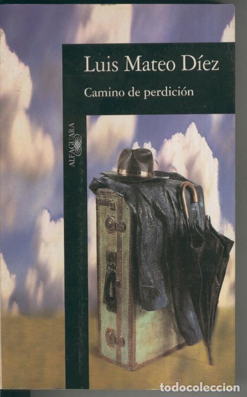 Libros: Camino de perdicion - Luis Mateo Diez - Foto 1
