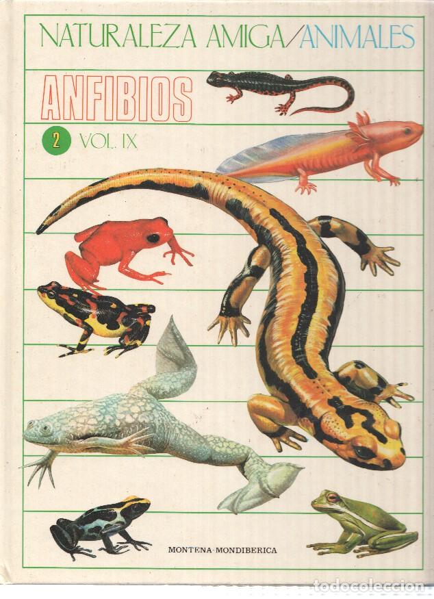 Libri di seconda mano: Naturaleza Amiga/Animales album 02 volumen IX: Anfibios - Isabel Portela Pe&ntilde;as y Lourdes Cabello Per