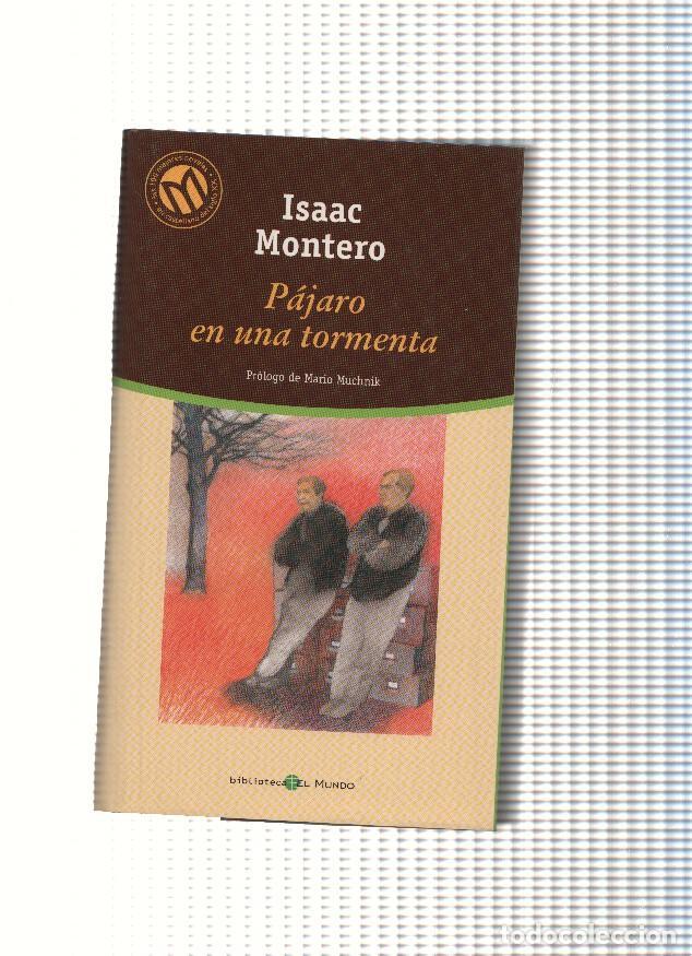 Libros: Pajaro en una tormenta - Isaac Montero - Foto 1
