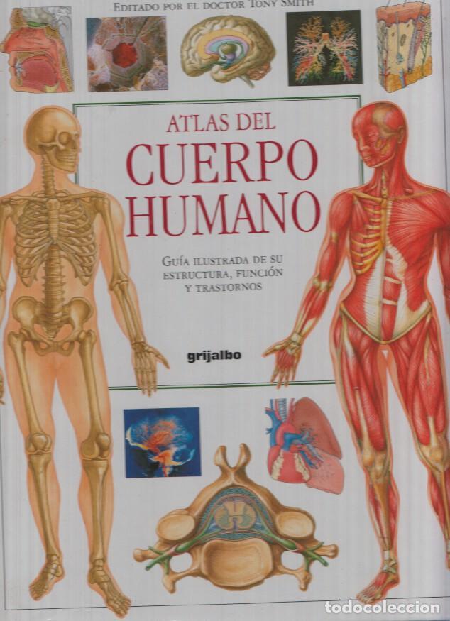 Libri di seconda mano: Atlas del Cuerpo Humano - Doctor Tony Smith