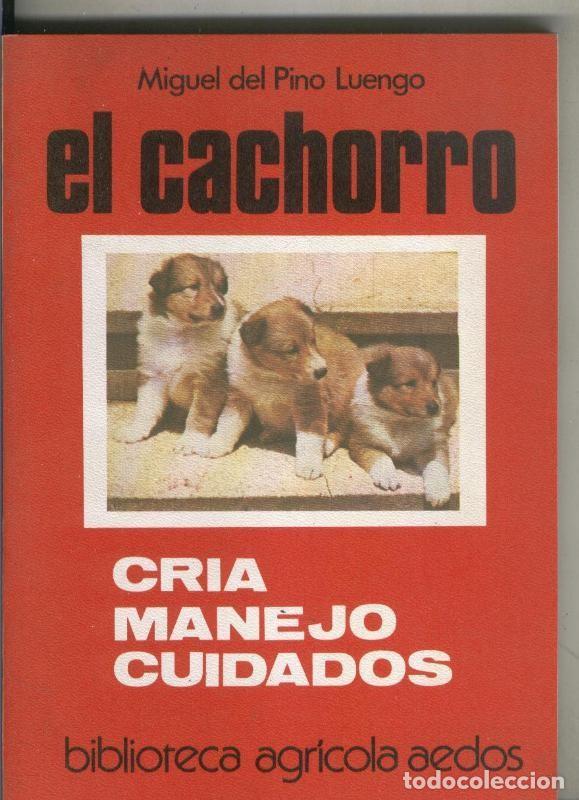 B&uuml;cher: Biblioteca Agricola Aedos: El cachorro, cria, manejo, cuidados - Miguel del Pino Luengo