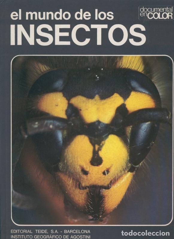 Libri di seconda mano: Documental en color: El mundo de los insectos - Umberto Parenti