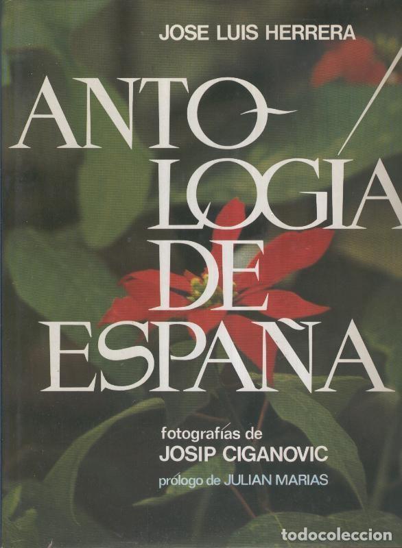 B&uuml;cher: Antologia de Espa&ntilde;a - Jose Luis Herrera