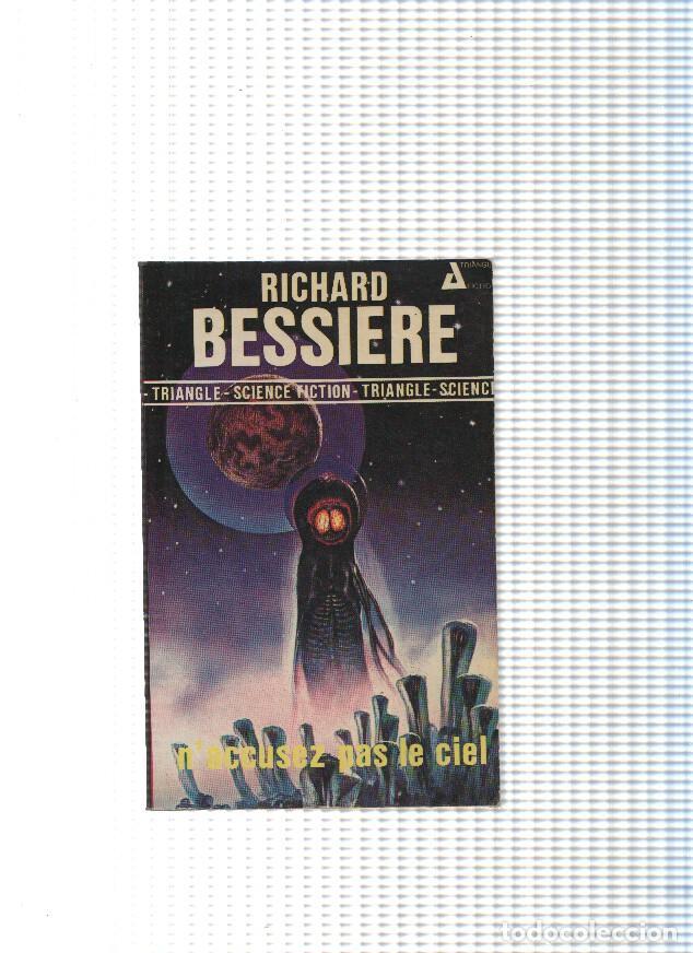 Libros: N'accusez pas le ciel - Richard Bessiere