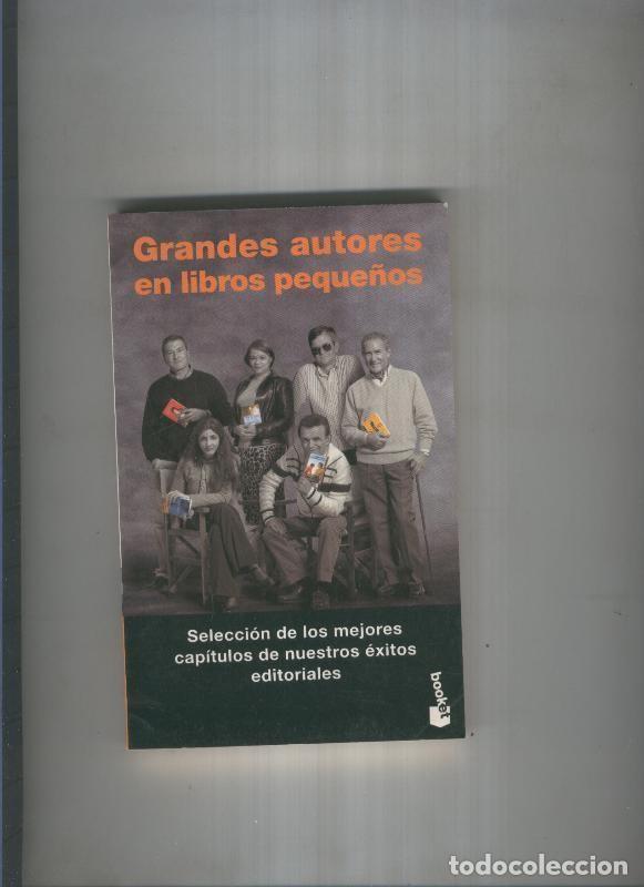Libri di seconda mano: Grandes autores en libros peque&ntilde;os - varios