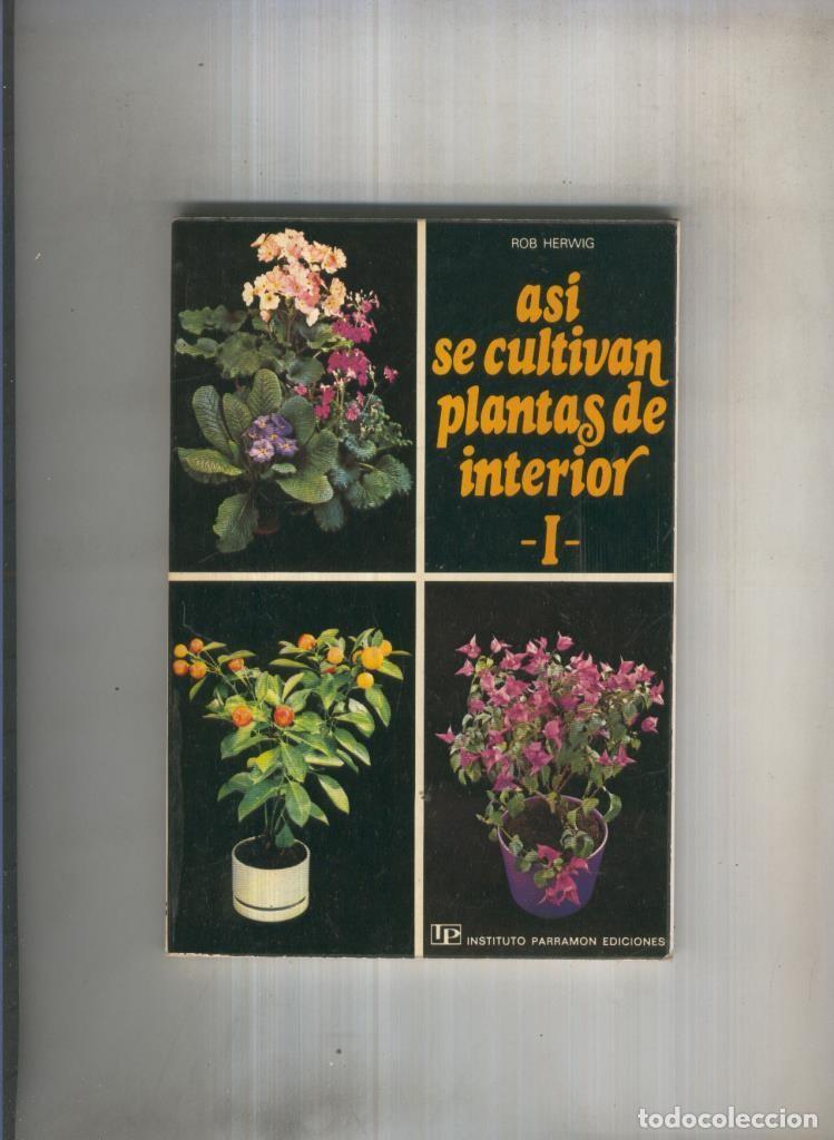 Libri di seconda mano: Asi se cultivan plantas de interior - volumen I- - Rob Herwig