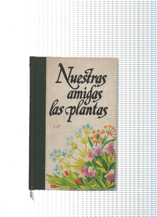 Libros: Nuestras amigas las Plantas Volumen II - varios - Foto 1