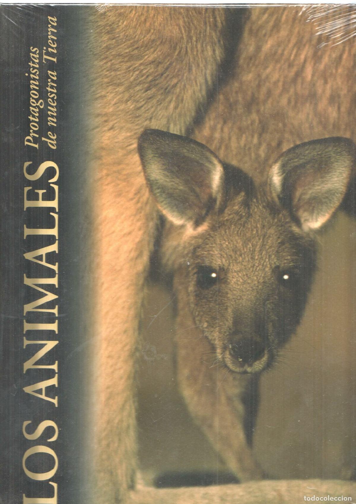 Libros: Los animales Protagonistas de nuestra Tierra: Los medios aridos - Varios - Foto 1