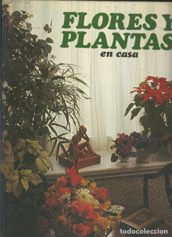 Libros: Flores y Plantas en Casa - Violet Stevenson - Foto 1