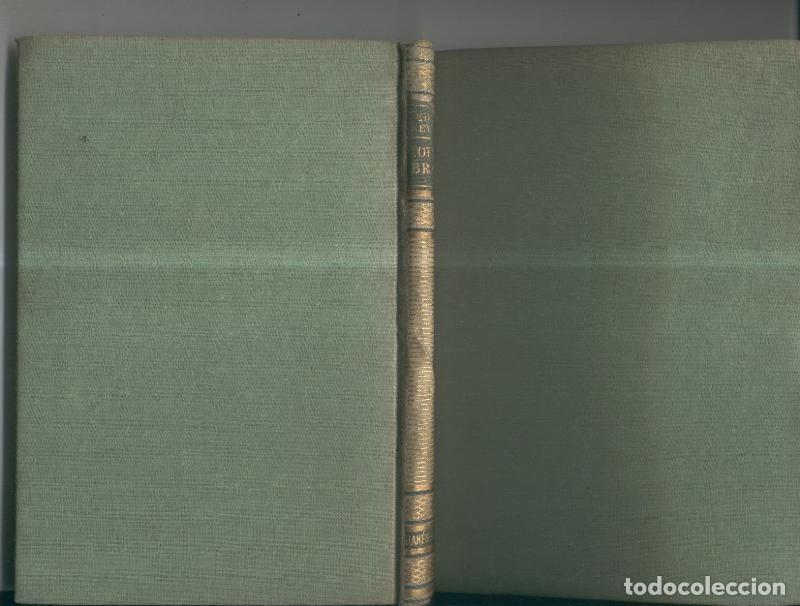 B&uuml;cher: Torito bravo - Edgr Neville