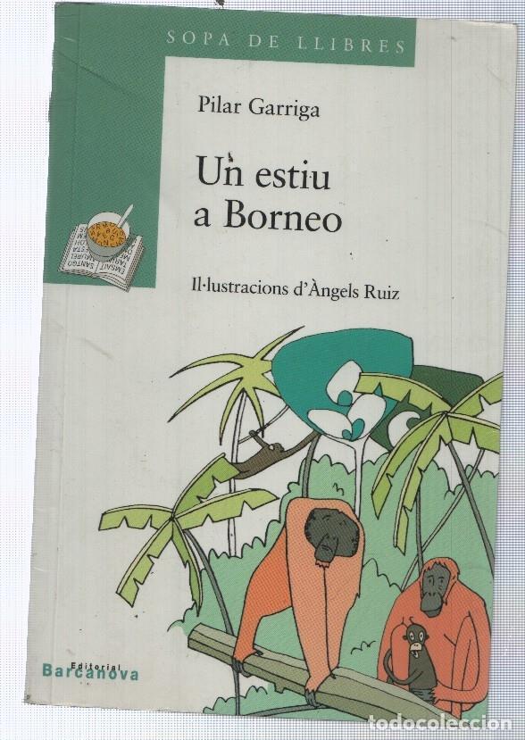 Libros: Un estiu a Borneo - Pilar Garriga - Foto 1
