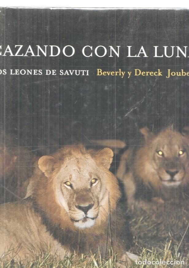 Libros: Cazando con la luna. Los leones de Savuti - Dereck Joubert - Foto 1