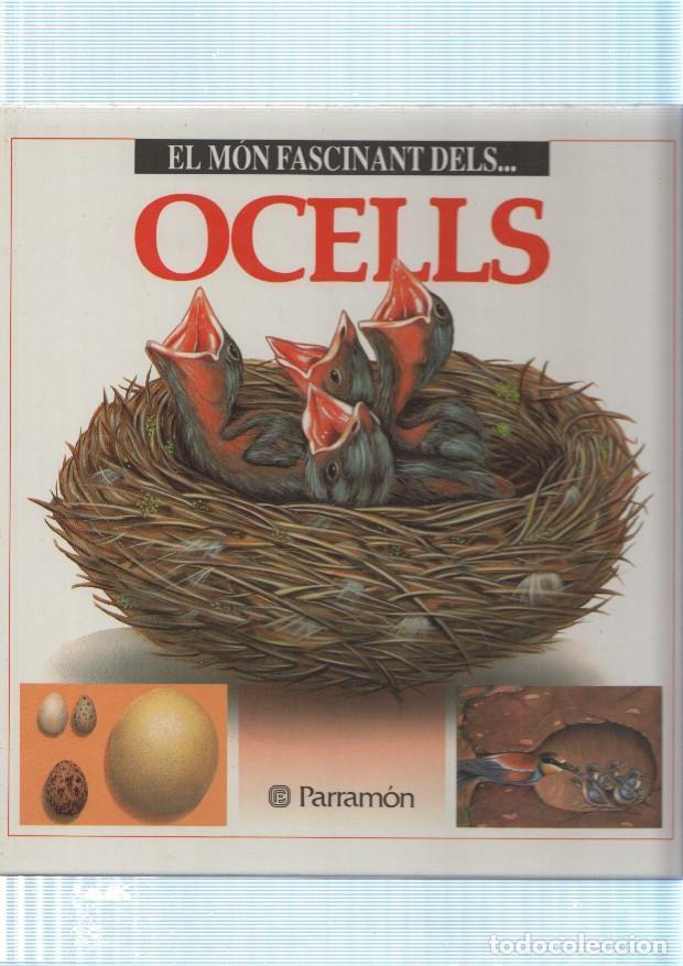 B&uuml;cher: El mon fascinant de : Ocells - Maria Angels Julivert
