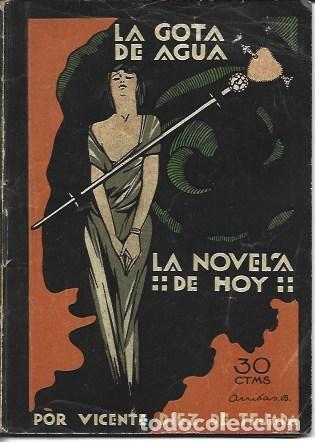 Libros: La gota de agua - Vicente Diez de Tejada