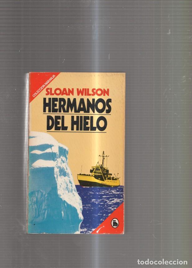 Libros: Hermanos de hielo - Sloan Wilson - Foto 1