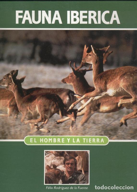 B&uuml;cher: Enciclopedia Salvat de la Fauna Iberica y Europea tomo 1 - Felix Rodriguez de la Fuente