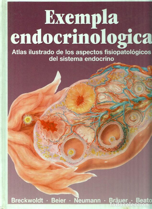 books: Exempla endocinologica, volumen 2 - varios
