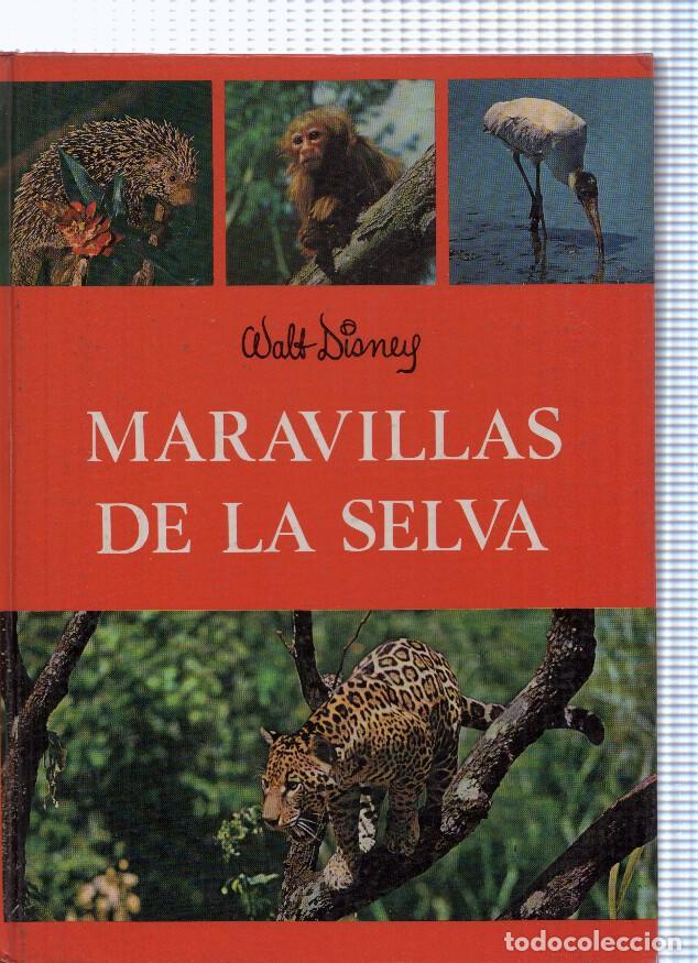 Libros: Maravillas de la selva - Walt Disney - Foto 1