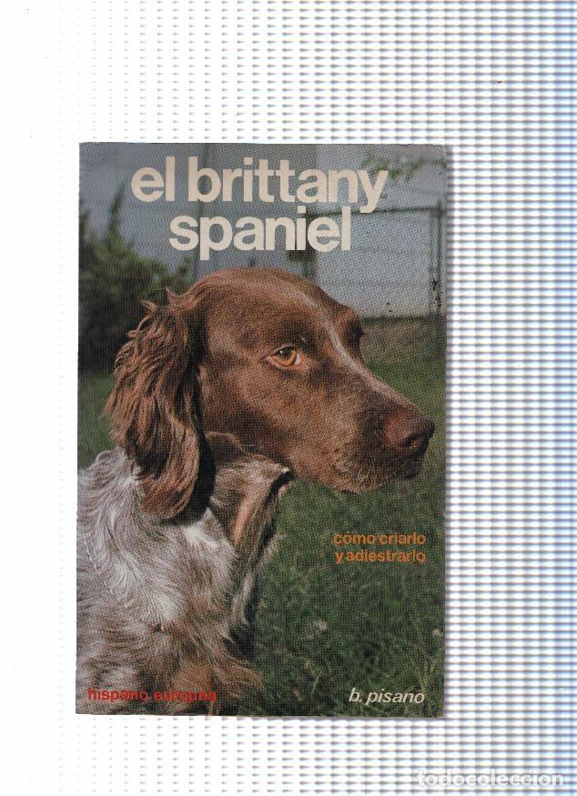 Libri di seconda mano: El brittany spaniel - B. Pisano