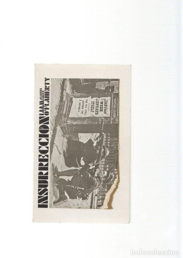 Libros: Insurreccion - Liam O Flaherty - Foto 1