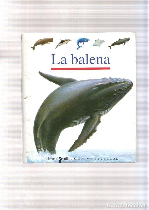 Libros: La Balena - varios - Foto 1