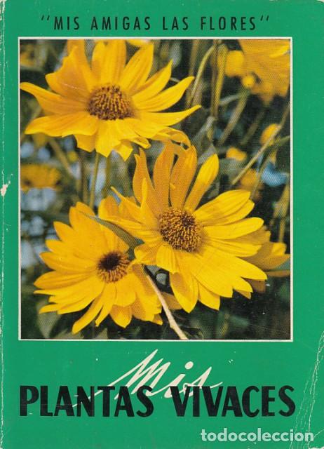 Libros: PLANTAS VIVACES - GUSTAVO GILI - Foto 1