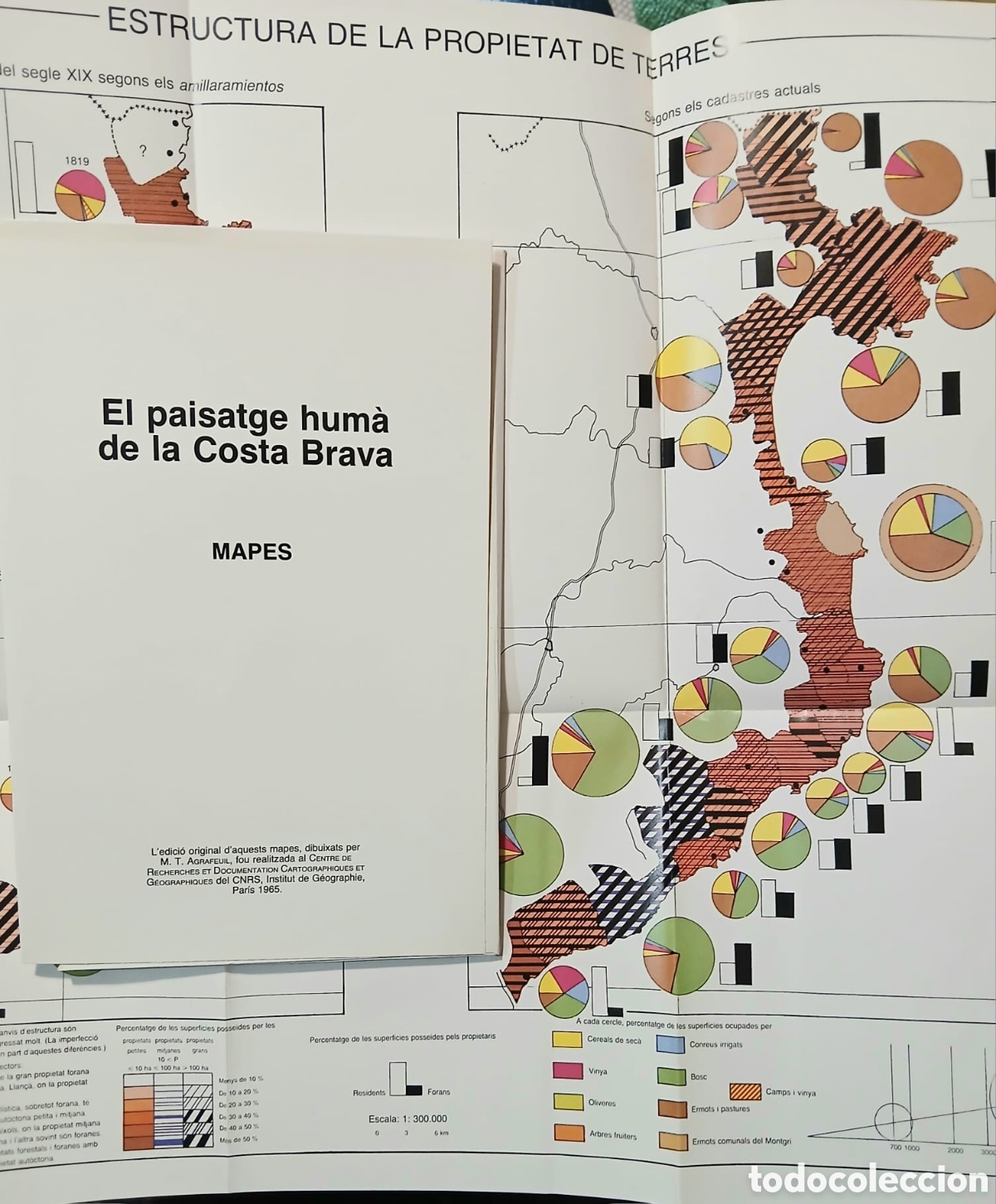 Libros: El paisatge hum&agrave; de la Costa Brava - Foto 2