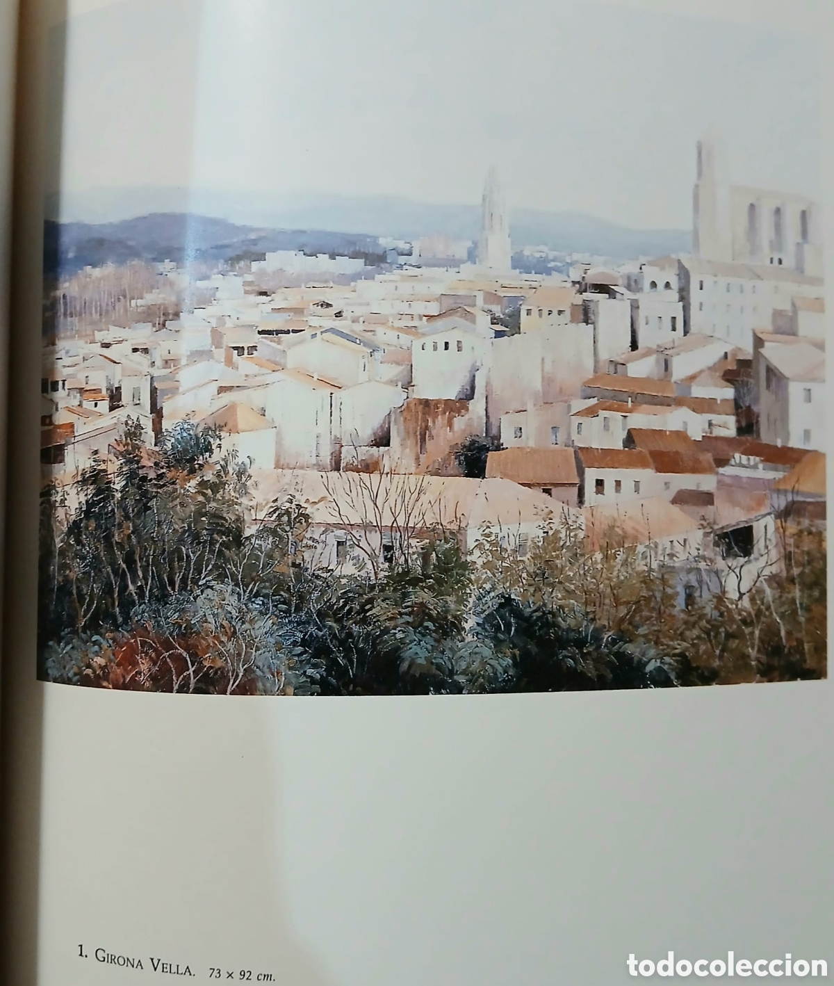 Libros: VAYREDA С. CATALUNYA-CALIFORNIA - Foto 8