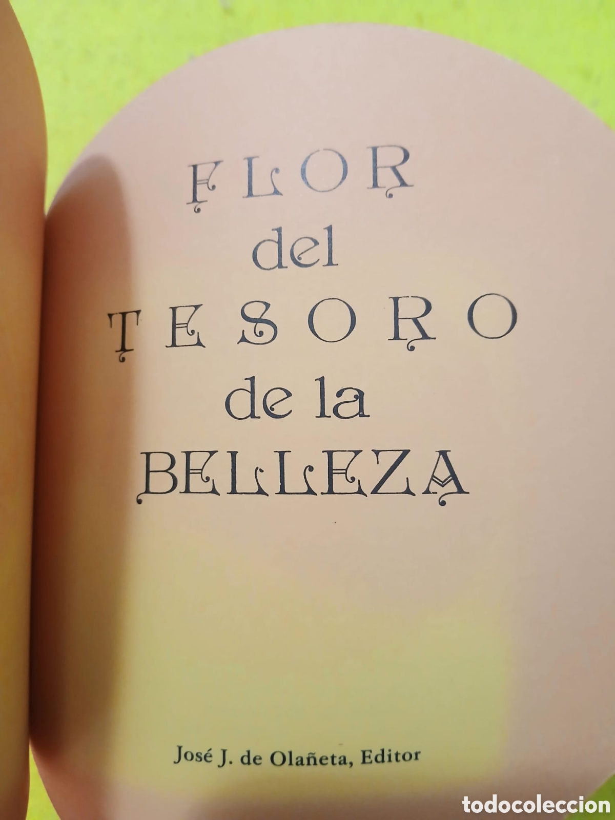 Libros: Flor del tesoro de la belleza - Foto 3