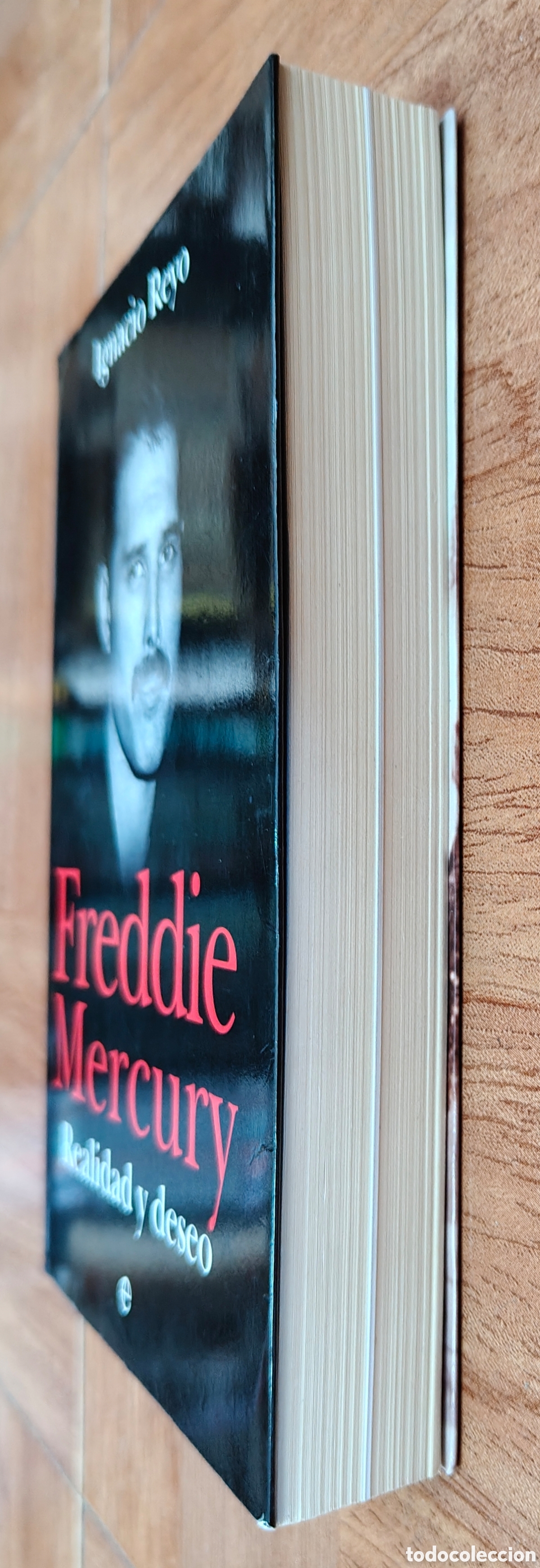 Libros: Freddie Mercury: Realidad y Deseo - Ignacio Reyo - Foto 2