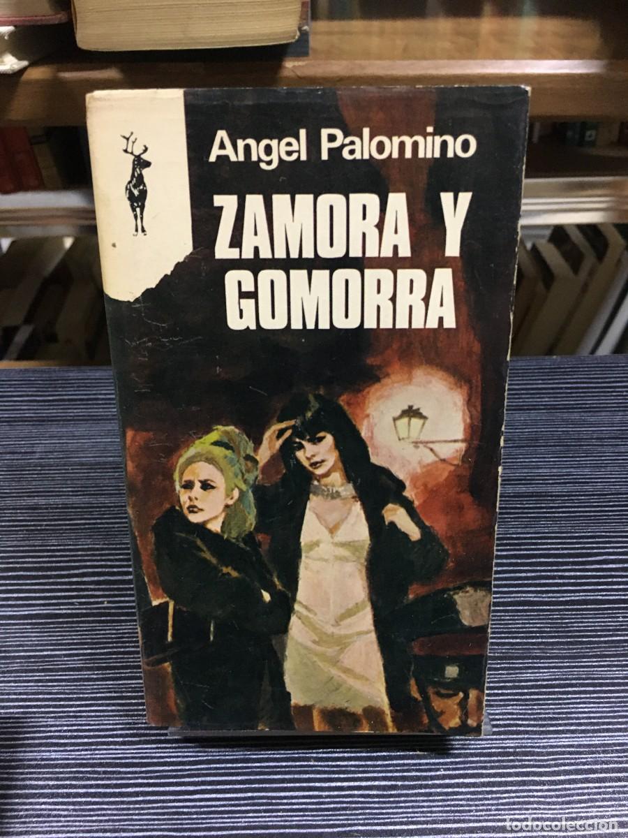 Libros: Zamora y Gomorra &Aacute;ngel Palomino - Foto 1