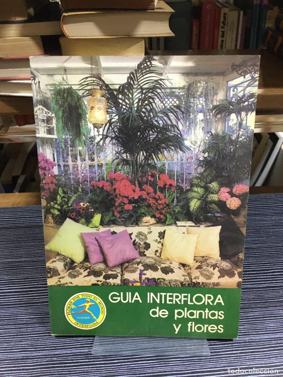 Libros: Gu&iacute;a Interflora de plantas y flores - Foto 1