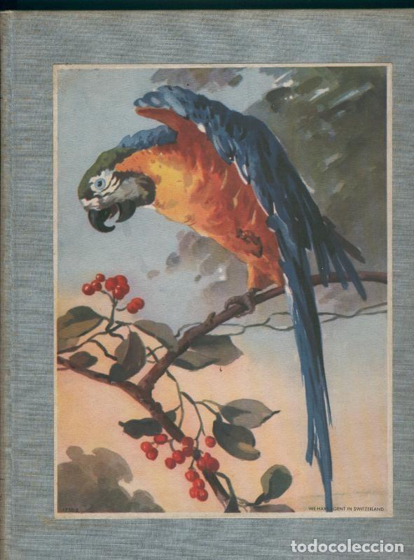 books: Les animaux un grand theme de L,art: portada del libro - Varios